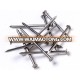 Polished Wire Nail From Guangzhou Supplier