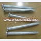 Galvanized steel concrete nails with factory price