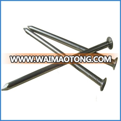 Galvanized Common Wood Nail with High Quality