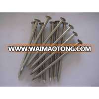 White Color Ring Shank Nail with High Quality