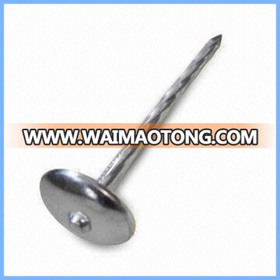 Galvanized and Polished Roofing nail with Umbrella Head