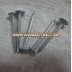 Hot Sale GI Linoleum Nail with High Quality