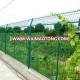 Garden Steel Fence Farm Protect Door Fence Swimming Pool Fence